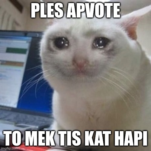 VOTEBEGGERS BE LIKE | PLES APVOTE; TO MEK TIS KAT HAPI | image tagged in crying cat | made w/ Imgflip meme maker