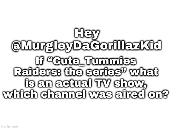 for @MurgleyDaGorillazKid (Raiding) | If “Cute_Tummies Raiders: the series” what is an actual TV show, which channel was aired on? Hey @MurgleyDaGorillazKid | image tagged in blank white template,tv show | made w/ Imgflip meme maker