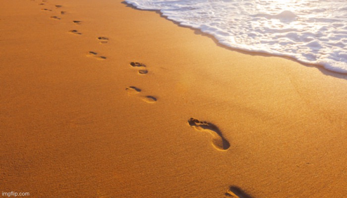 footprints in the sand | image tagged in footprints in the sand | made w/ Imgflip meme maker