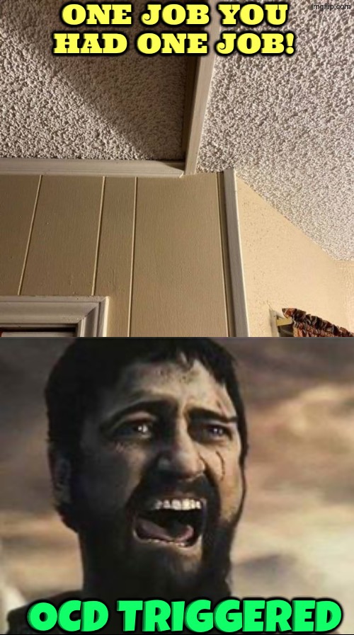 OCD Triggered | One job you had one job! OCD Triggered | image tagged in you had one job,triggered,ocd,epic fail,duhhh dumbass,how | made w/ Imgflip meme maker