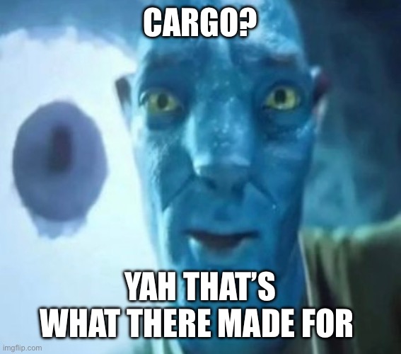 Avatar guy | cargo? yah that’s what there made for | image tagged in avatar guy | made w/ Imgflip meme maker