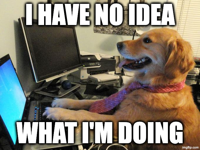 I have no idea what I'm doing | I have no idea; what I'm doing | image tagged in dog | made w/ Imgflip meme maker