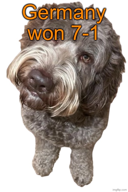Amazing | Germany won 7-1 | image tagged in northers dog transparent | made w/ Imgflip meme maker
