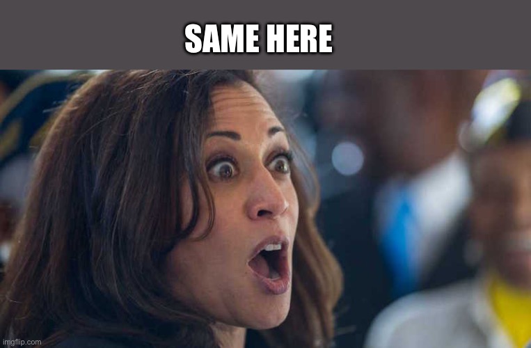 kamala harriss | Same here | image tagged in kamala harriss | made w/ Imgflip meme maker