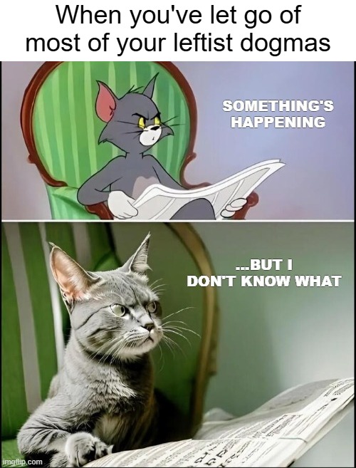 3 years old thing... | When you've let go of most of your leftist dogmas | image tagged in interrupting tom's read,leftist,politics | made w/ Imgflip meme maker