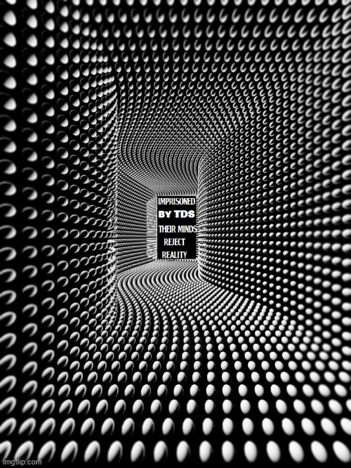 Reality Distorted in the Maze of Mental Illness | image tagged in vince vance,maze,reality,trump derangement syndrome,tds,mental illness | made w/ Imgflip meme maker