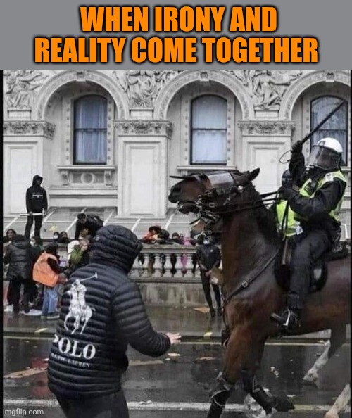 Glitch in the Matrix | When irony and reality come together | image tagged in polo,sport,jacket,horse,cop,ironic | made w/ Imgflip meme maker