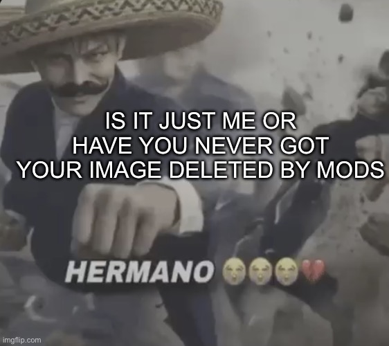 Im not asking you Garfield fan | Is it just me or have you never got your image deleted by mods | image tagged in hermano | made w/ Imgflip meme maker
