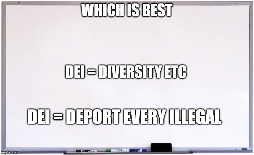 whiteboard | which is best; dei = diversity etc; dei = deport every illegal | image tagged in whiteboard | made w/ Imgflip meme maker