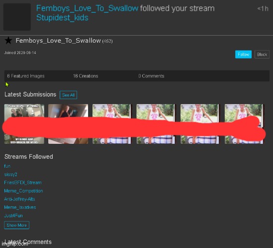 WHO IS THIS DUDE AND WHY DID HE RANDOMLY JOIN ONY OF MY OLD STREAMS. I CHECKED THE PROFILE IT'S ALL EPSTEIN IN WOMEN CLOTHING | made w/ Imgflip meme maker