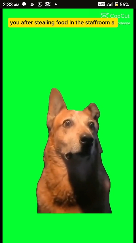 High Quality Jr Blank Meme Template