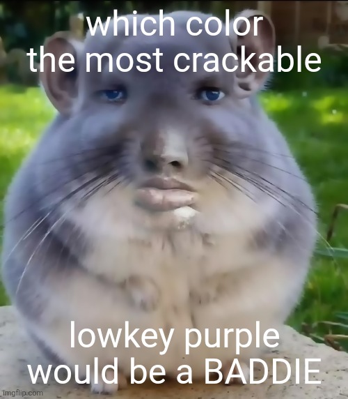 son | which color the most crackable; lowkey purple would be a BADDIE | image tagged in son | made w/ Imgflip meme maker