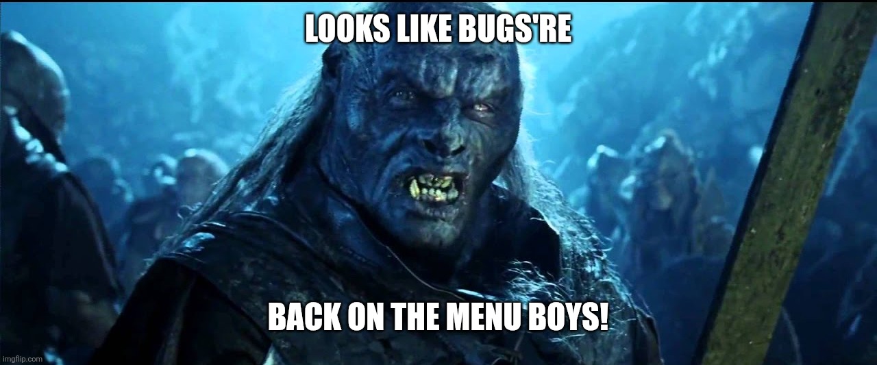 Helldivers when they bring a flamethrower | LOOKS LIKE BUGS'RE; BACK ON THE MENU BOYS! | image tagged in lotr meats back on the menu | made w/ Imgflip meme maker