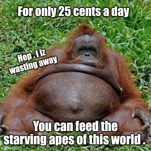Charity memes | For only 25 cents a day; Hep . I iz wasting away; You can feed the starving apes of this world . | image tagged in artworks-000643966168-mdw08w-t1080x1080 jpg | made w/ Imgflip meme maker