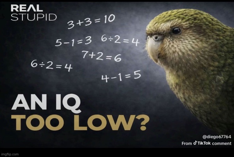 An IQ too low | image tagged in an iq too low | made w/ Imgflip meme maker