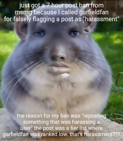 son | just got a 7 hour post ban from msmg because I called garfieldfan for falsely flagging a post as "harassment"; the reason for my ban was "reposting something that was harassing a user" the post was a tier list where garfieldfan was ranked low. that's harassment??? | image tagged in son | made w/ Imgflip meme maker