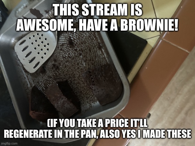 This stream is awesome, have a brownie! (If you take a price it’ll regenerate in the pan, also yes I made these | image tagged in img_1323 jpeg | made w/ Imgflip meme maker