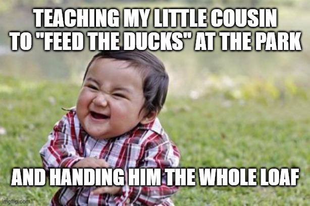 park ducks | teaching my little cousin to "feed the ducks" at the park; and handing him the whole loaf | image tagged in memes,evil toddler | made w/ Imgflip meme maker