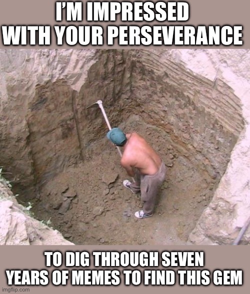 I’m impressed with your perseverance To dig through seven years of memes to find this gem | image tagged in dig a hole | made w/ Imgflip meme maker