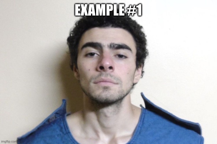 Example #1 | image tagged in luigi mangione | made w/ Imgflip meme maker