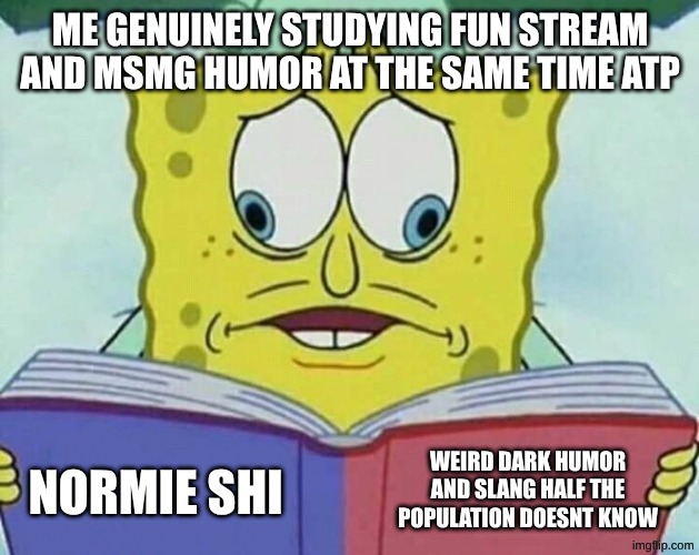 cross eyed spongebob | me genuinely studying fun stream and msmg humor at the same time atp; weird dark humor and slang half the population doesnt know; normie shi | image tagged in cross eyed spongebob,fun,msmg,spongebob | made w/ Imgflip meme maker