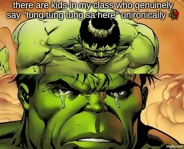 its a sad day for humanity | there are kids in my class who genuinely say "tung tung tung sa here" unironically 🥀 | image tagged in crying hulk,why bro | made w/ Imgflip meme maker