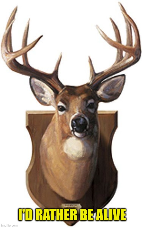 Deer Head On Wall | I'd rather be alive | image tagged in deer head on wall | made w/ Imgflip meme maker