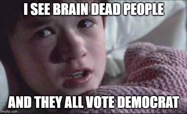 Low hanging fruit I know. | I see brain dead people; and they all vote democrat | image tagged in memes,i see dead people | made w/ Imgflip meme maker