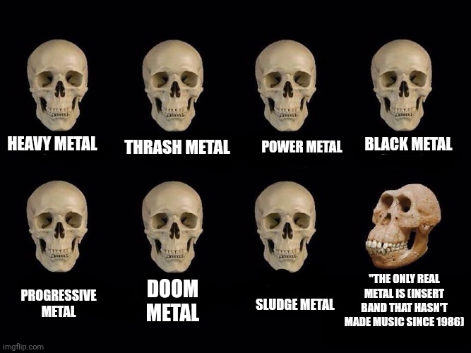 Metal | Thrash Metal; Black Metal; Power Metal; Heavy Metal; "The only real Metal is (insert band that hasn't made music since 1986); Doom Metal; Progressive Metal; Sludge Metal | image tagged in empty skulls of truth | made w/ Imgflip meme maker