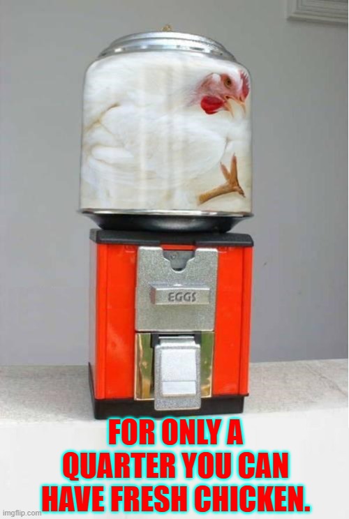 My guess is that the last egg in theegg dispenser hatched | For only a quarter you can have fresh chicken. | image tagged in vince vance,chicken,quarter,gumball machine,memes,eggs | made w/ Imgflip meme maker