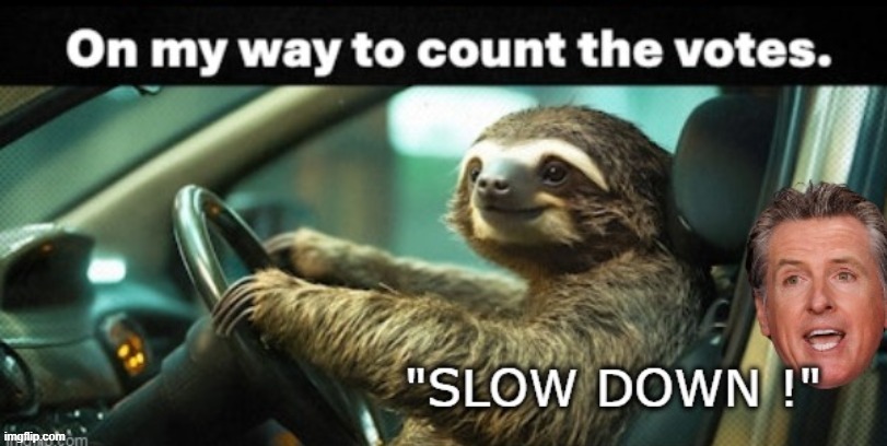 They are STILL counting nj | image tagged in sloth california vote count meme | made w/ Imgflip meme maker
