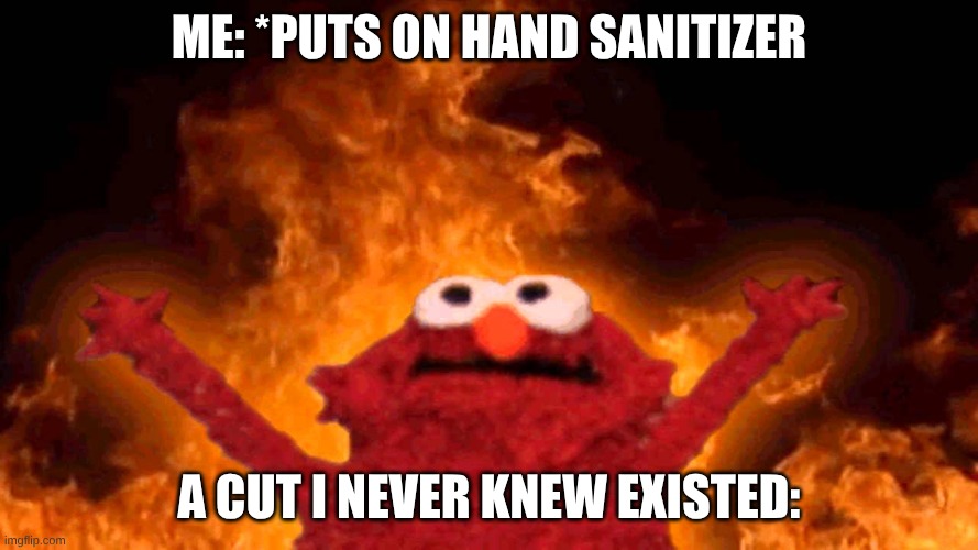 IT BURNS | Me: *puts on hand sanitizer; A cut I never knew existed: | image tagged in elmo fire,lol so funny | made w/ Imgflip meme maker