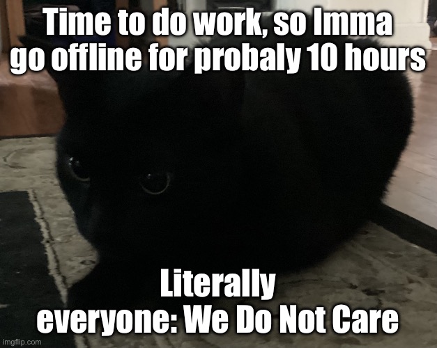 Kitty :3 | Time to do work, so Imma go offline for probaly 10 hours; Literally everyone: We Do Not Care | image tagged in kitty 3 | made w/ Imgflip meme maker