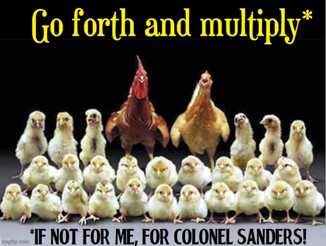 Meet The Chickens | image tagged in vince vance,chicken,family,rooster,hen,chicks | made w/ Imgflip meme maker