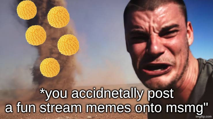 idk if this is a fun stream meme or not bc of the temp | *you accidnetally post a fun stream memes onto msmg" | image tagged in sandstorm selfie,fun,msmg,ur cooked | made w/ Imgflip meme maker
