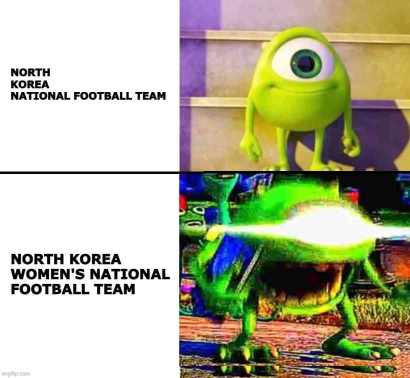 North Korea National Football Team vs. North Korea Women's National Football Team comparison be like: | North Korea national football team; North Korea women's national football team | image tagged in football,sports,north korea | made w/ Imgflip meme maker