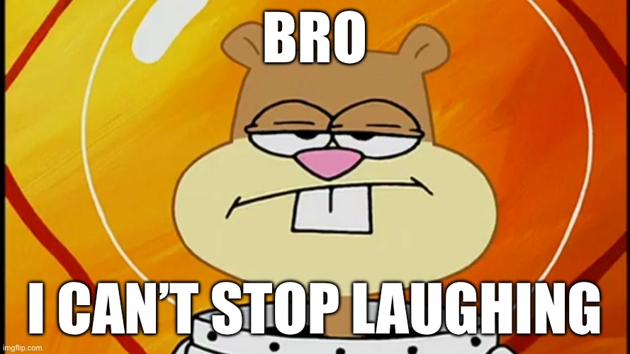 Where’s the funny, man? | Bro; I can’t stop laughing | image tagged in sandy cheeks is not impressed,sandy cheeks,spongebob,not impressed,memes,spongebob squarepants | made w/ Imgflip meme maker