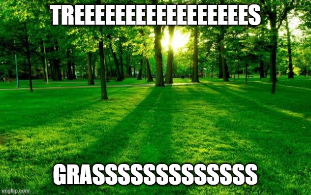 Grass and trees | treeeeeeeeeeeeeeeees; grASSSSSSSSSSSSS | image tagged in grass and trees | made w/ Imgflip meme maker