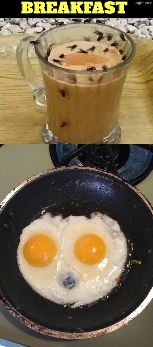 Breakfast Time | Breakfast | image tagged in cursed images,breakfast,eggs,coffee,creepy face,flies | made w/ Imgflip meme maker