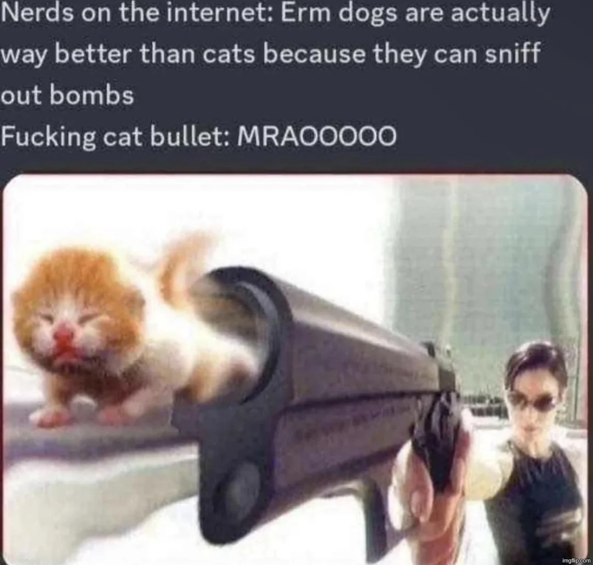 Fucking cat bullet | made w/ Imgflip meme maker