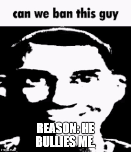 Can we ban this guy | reason: he bullies me. | image tagged in can we ban this guy | made w/ Imgflip meme maker