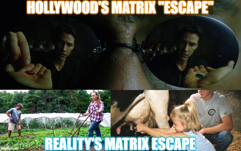REALITY'S MATRIX | hollywood's matrix "escape"; reality's matrix escape | image tagged in farming,homeschool,gardening,politics,government corruption,big government | made w/ Imgflip meme maker