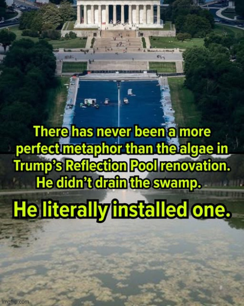 Swamp thing | image tagged in maga | made w/ Imgflip meme maker