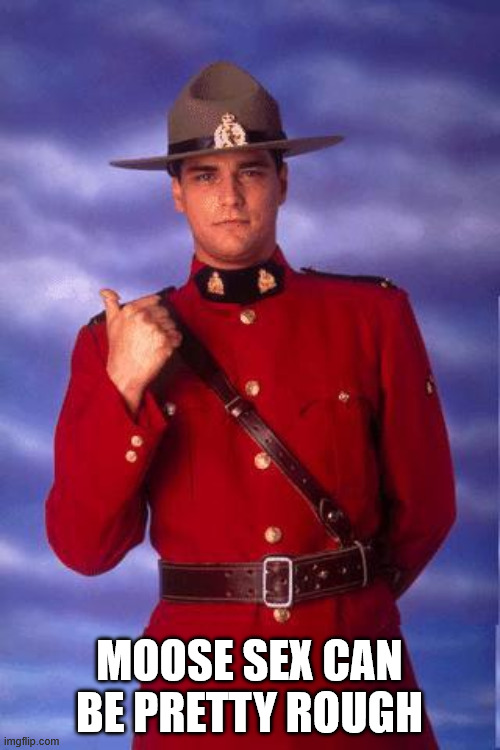 Canadian cops be like | moose sex can be pretty rough | image tagged in canadian cops be like | made w/ Imgflip meme maker