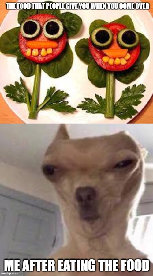 The food that people give you when you come over; Me after eating the food | image tagged in images 1 jpg | made w/ Imgflip meme maker