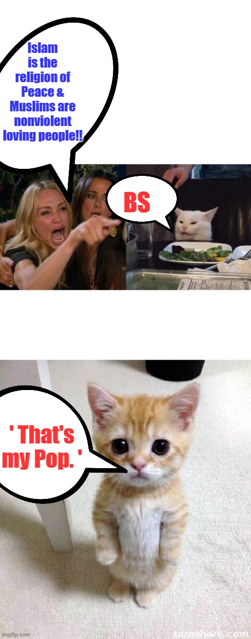 Cats are smarter than liberals | Islam is the religion of Peace & Muslims are nonviolent loving people!! BS; ' That's my Pop. ' | image tagged in memes,woman yelling at cat,cute cat | made w/ Imgflip meme maker