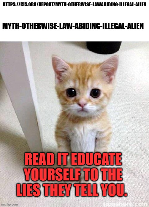 BP CAT | https://cis.org/Report/Myth-Otherwise-LawAbiding-Illegal-Alien; Myth-Otherwise-Law-abiding-Illegal-Alien; READ IT educate yourself to the lies they tell you. | image tagged in memes,cute cat | made w/ Imgflip meme maker