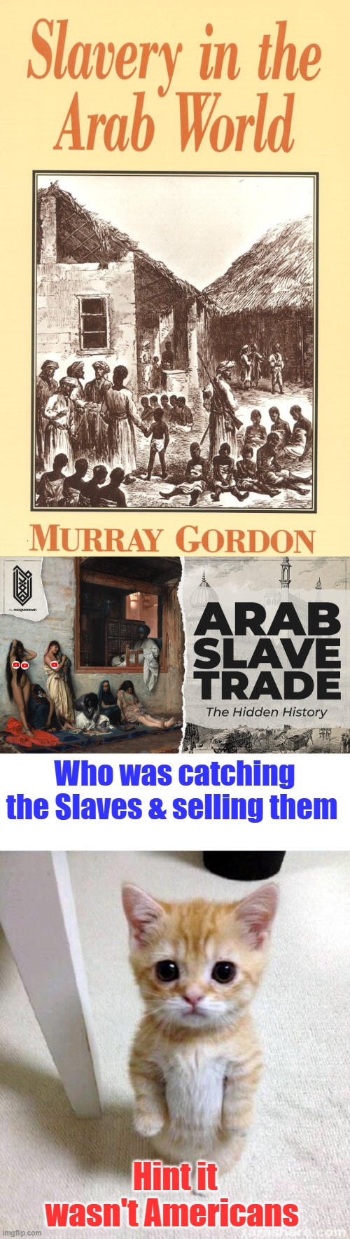 What they do is pick a date that makes America look guilty they never go back to the source. They do not teach the true history | Who was catching the Slaves & selling them; Hint it wasn't Americans | image tagged in memes,cute cat | made w/ Imgflip meme maker
