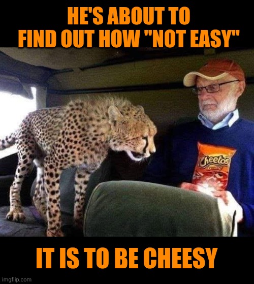 Cheesy Cheetah | He's about to find out how "not easy"; It is to be cheesy | image tagged in cheetah,cheetos,cheesy,not easy,chester cheeto,cheesy memes | made w/ Imgflip meme maker
