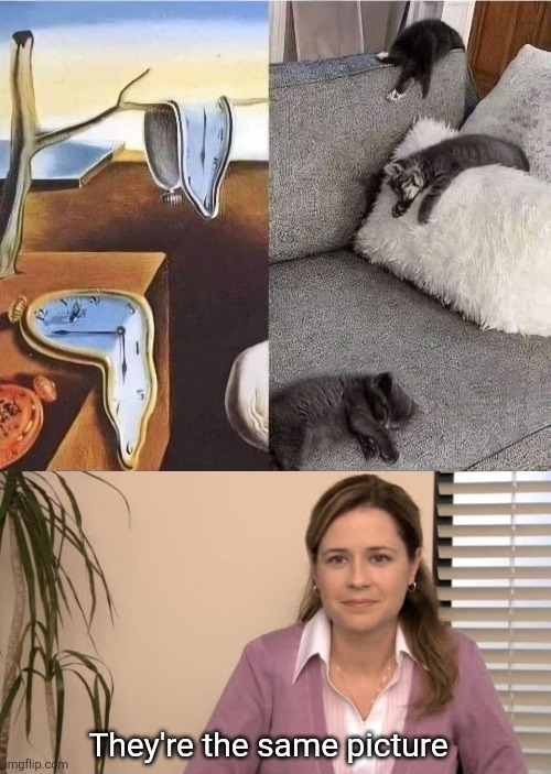 Melting cats | They're the same picture | image tagged in they're the same picture,melting,clocks,salvador dali,funny cats | made w/ Imgflip meme maker